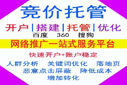 百度SEM竞价推广成功案例：某电商平台的营销奇迹