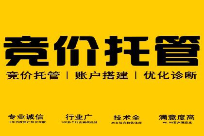 案例展示：SEM公司助力企业实现市场拓展与品牌提升